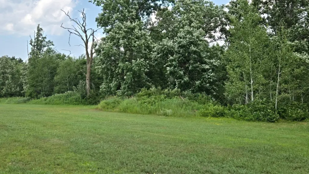 Picture 28
