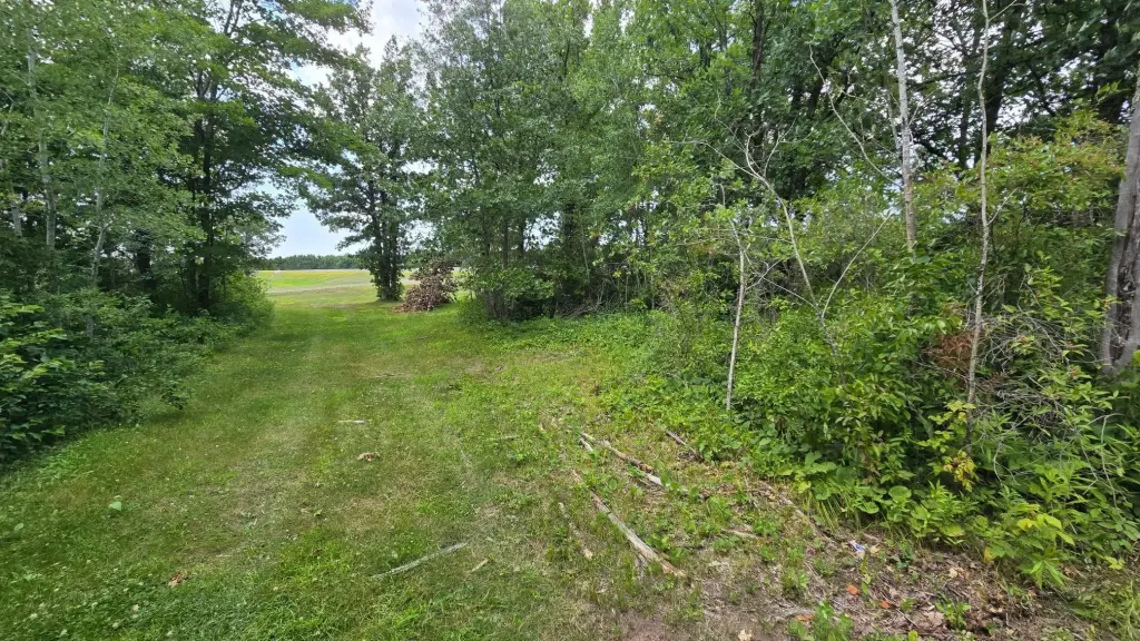 Picture 23