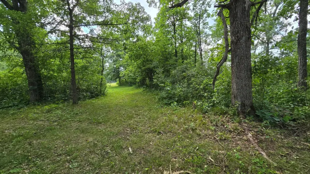 Picture 21