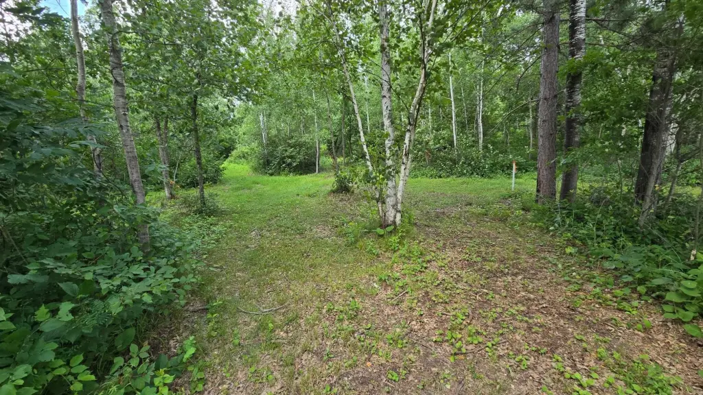 Picture 15