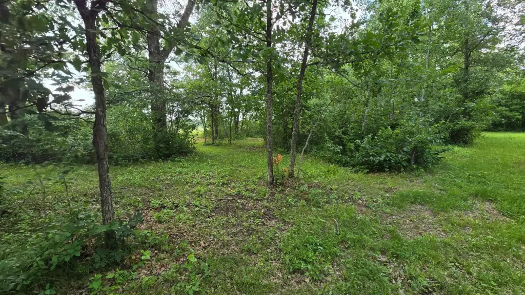 Picture 16