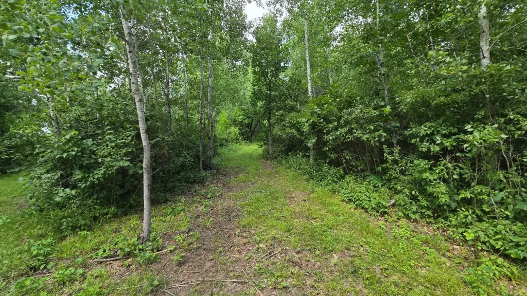 Picture 18