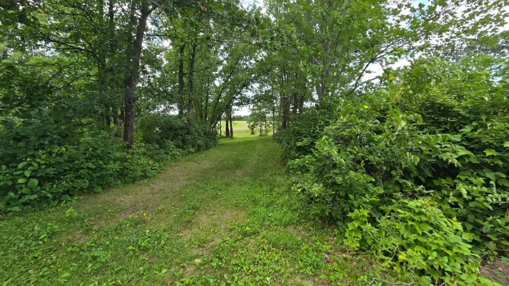 Picture 25