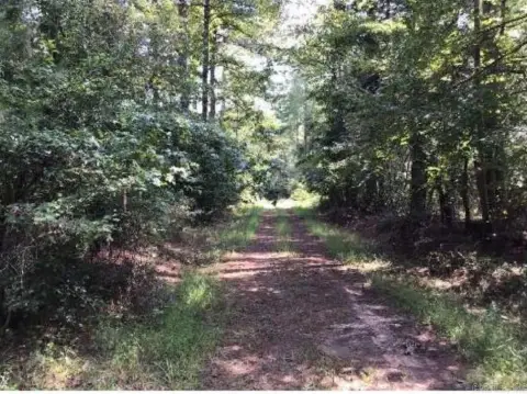 20 Acres Hunting Land with Pond