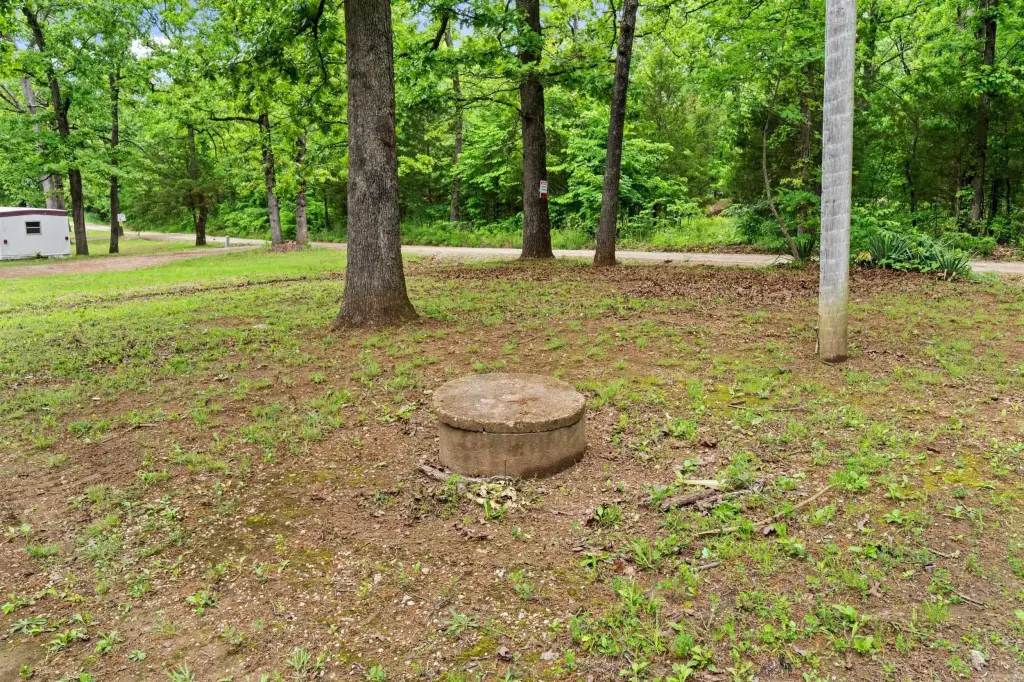 Picture 45