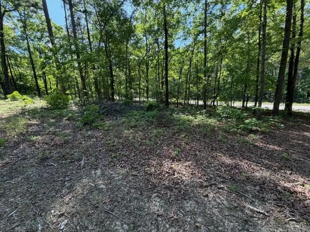 Picture 2