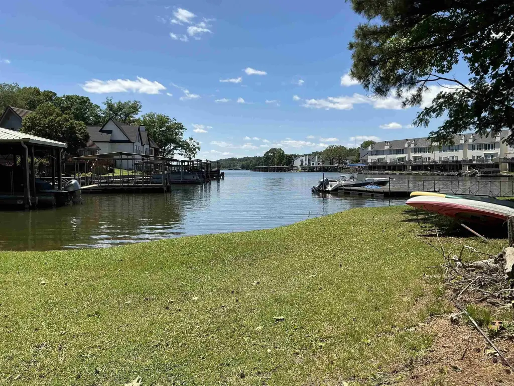 Picture 5