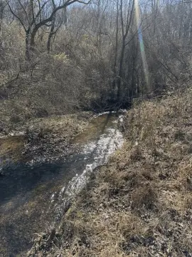 Creekfront Lot in Marble, NC