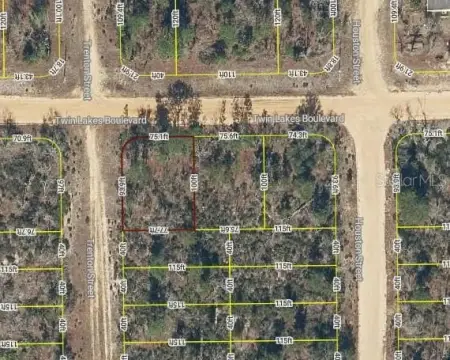 Residential Lot in Interlachen Lakes