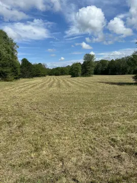 Englewood, TN 5.91-Acre Land