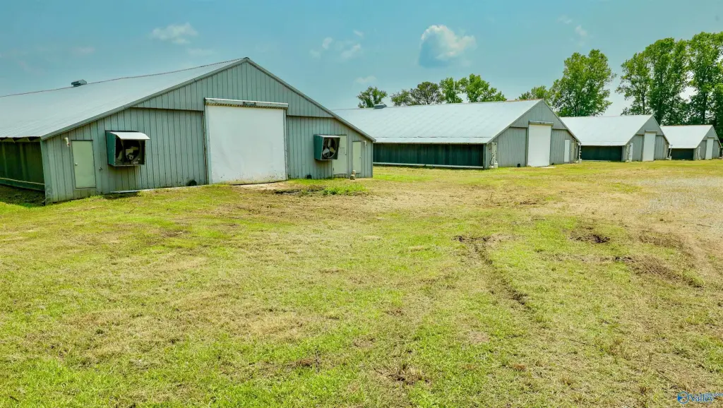 Picture 39