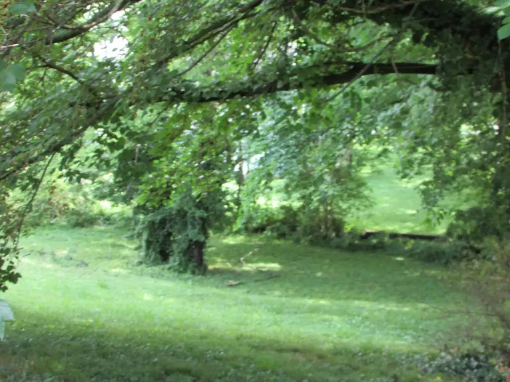 Picture 8