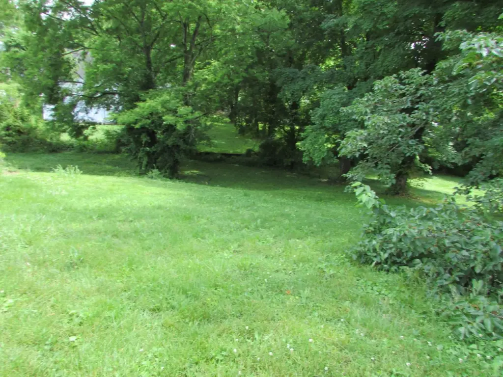 Picture 11