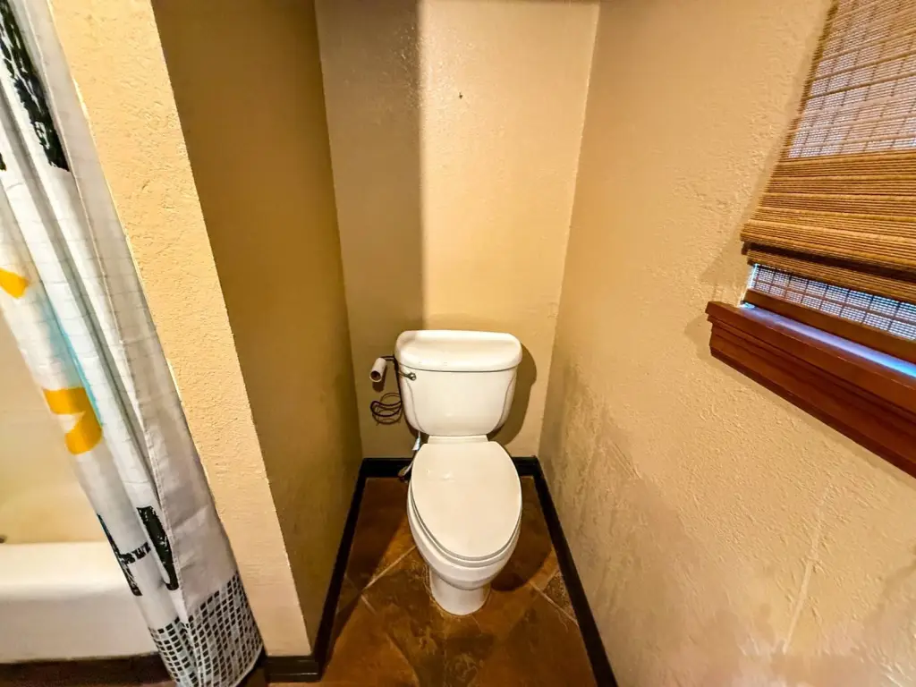 Picture 24