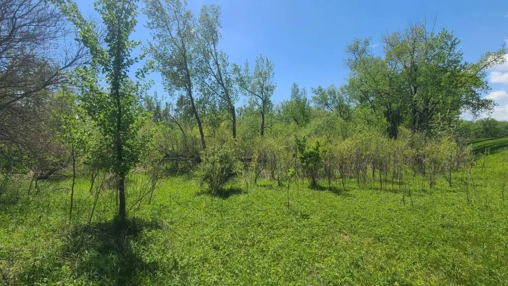 Picture 6
