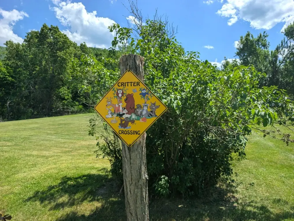 Picture 28