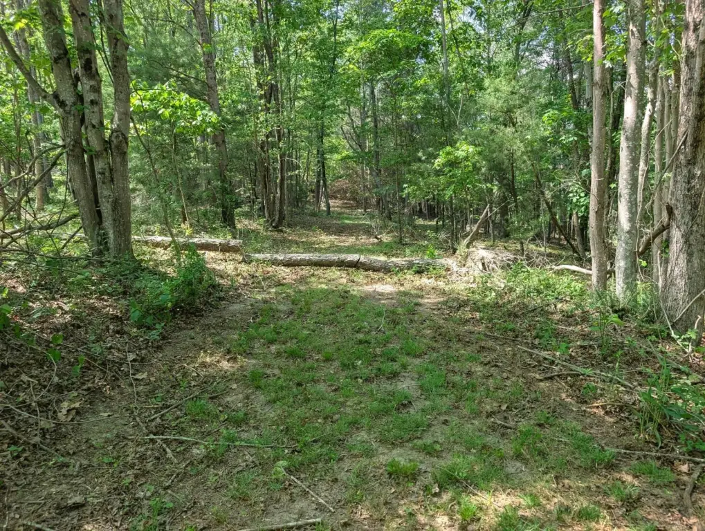 Picture 29
