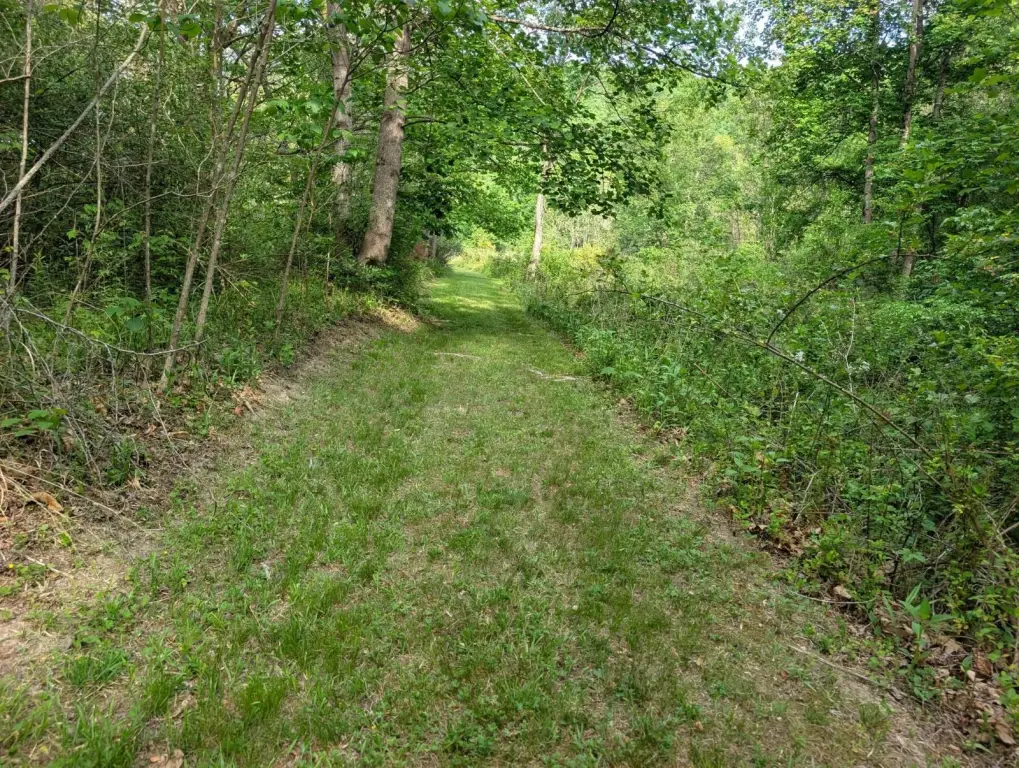 Picture 36
