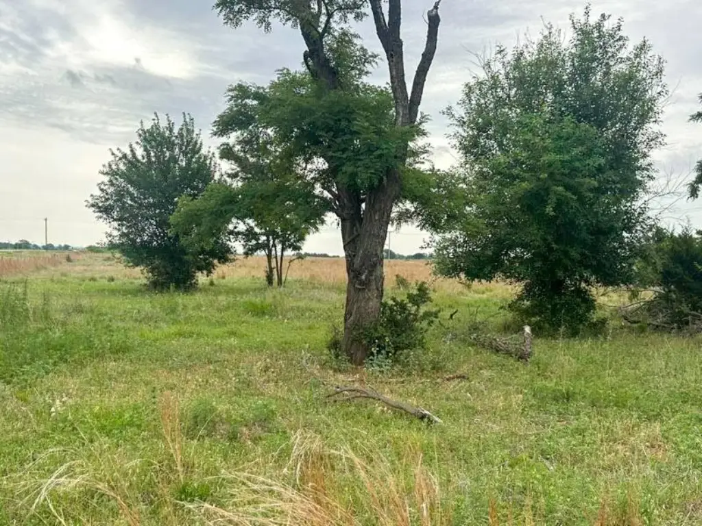 Picture 2