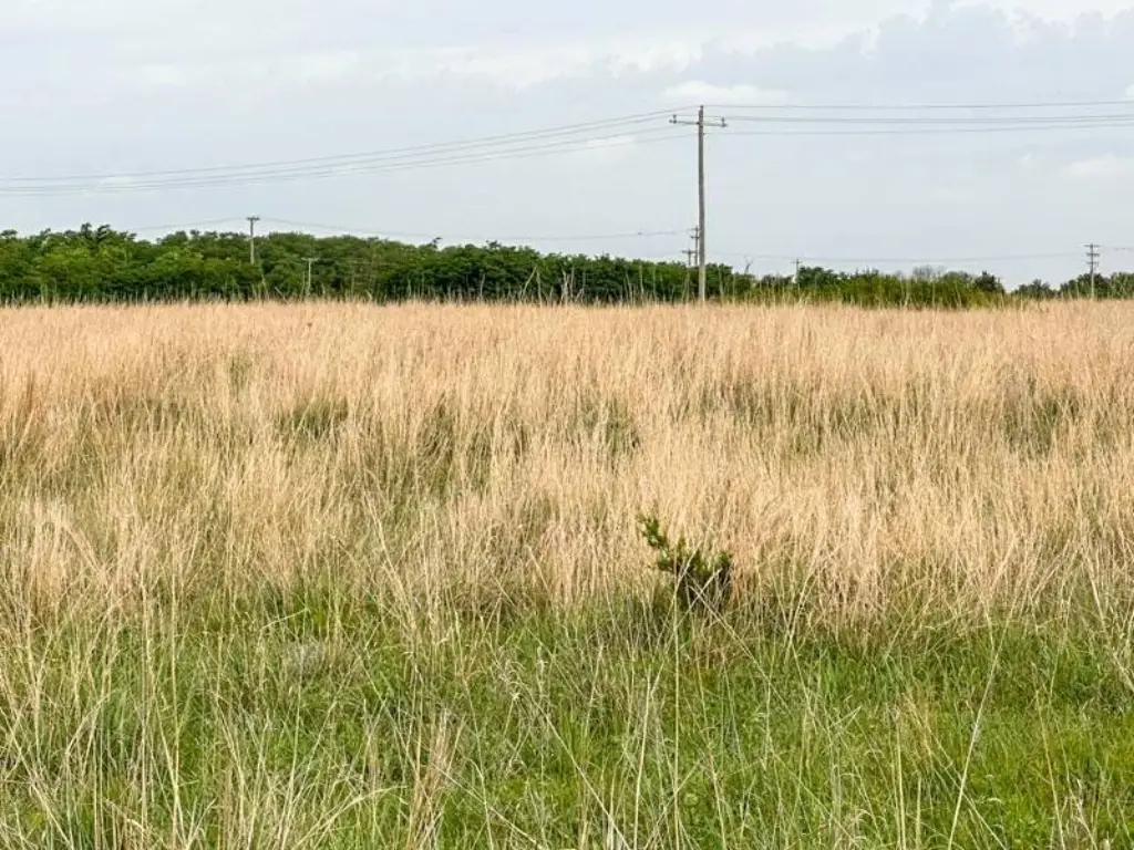Picture 25
