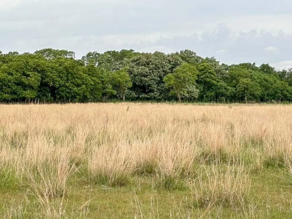 Picture 28