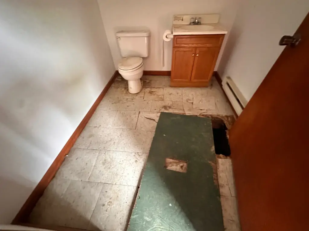 Picture 27
