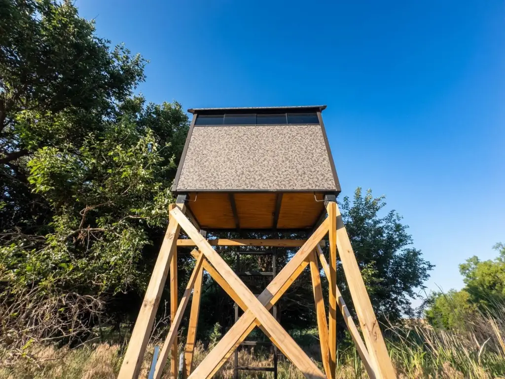 Picture 52