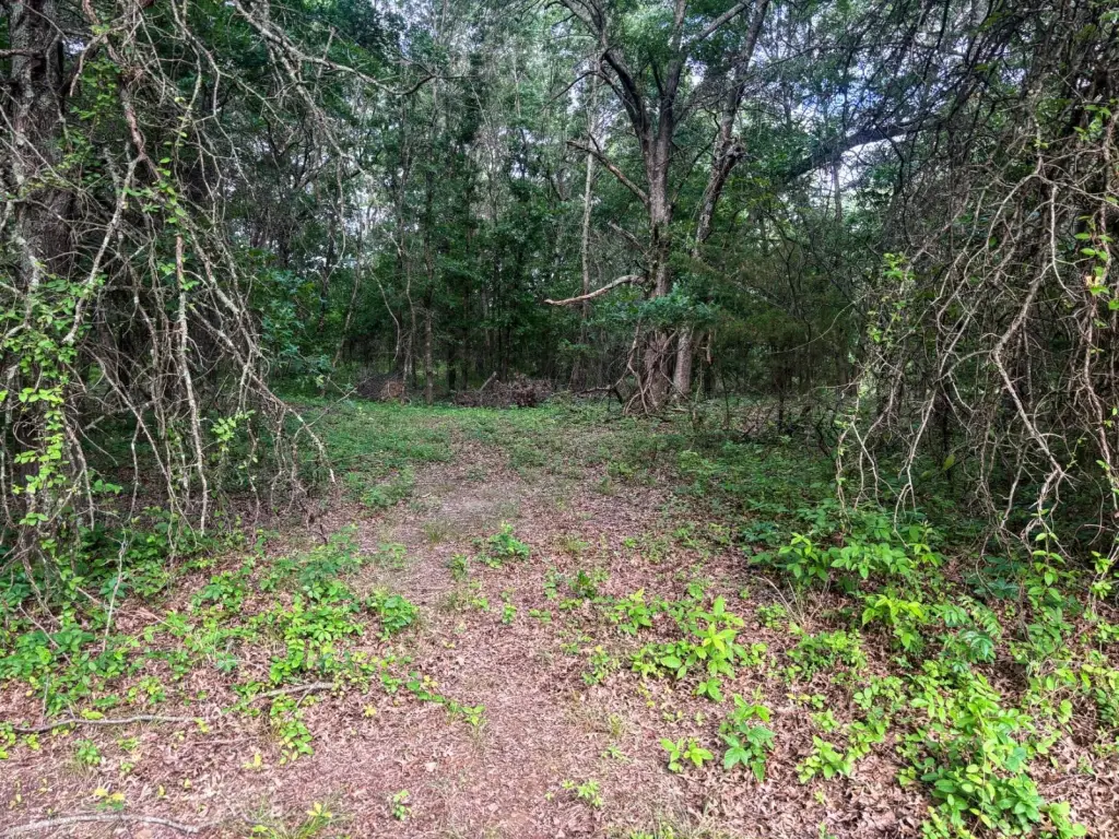 Picture 31