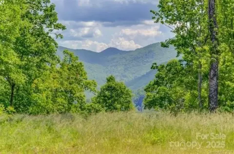 Leicester, NC Land with Views