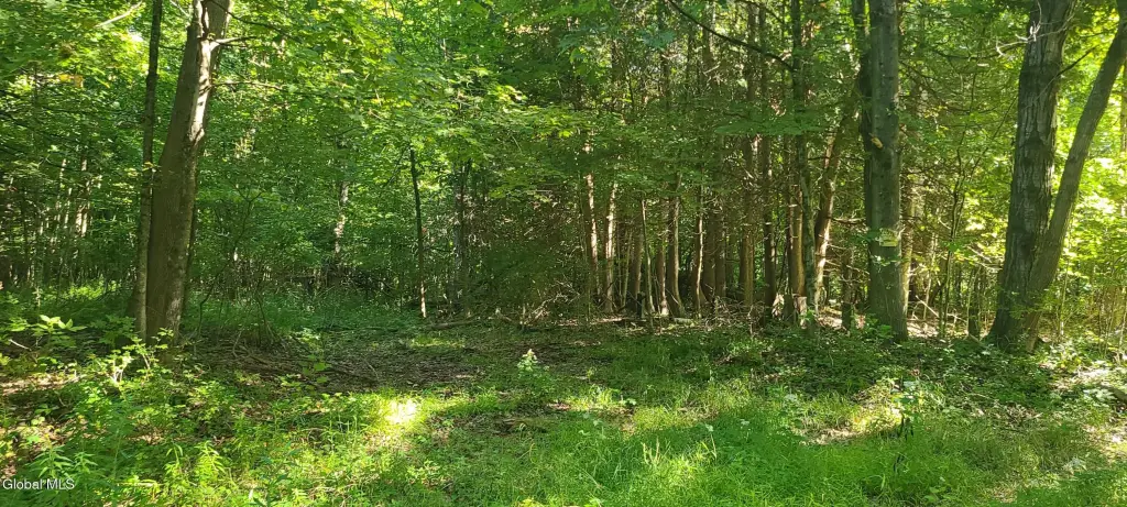 Picture 5