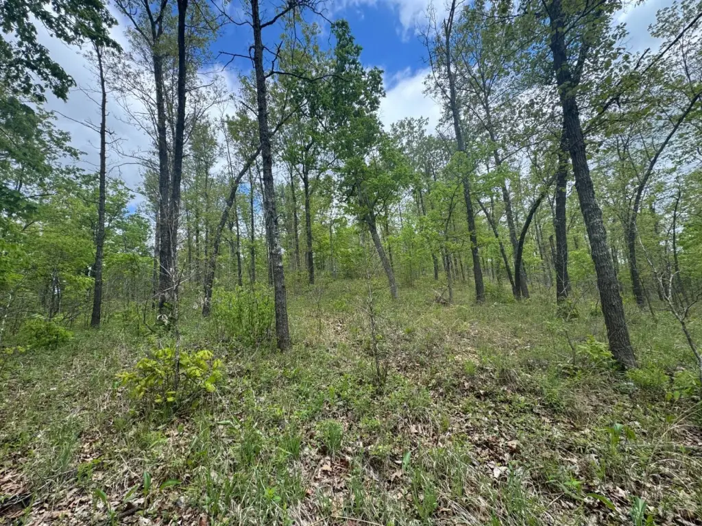 Picture 14