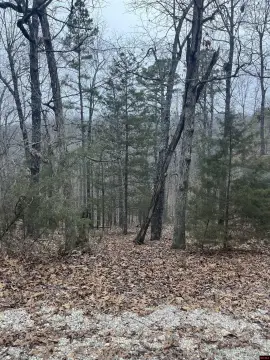 9.96 Acres of Hunting Land