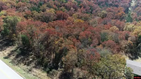 Highway Frontage Acreage in Kirbyville