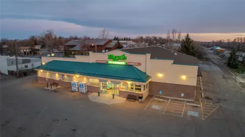 Multi-Store Grocery Portfolio