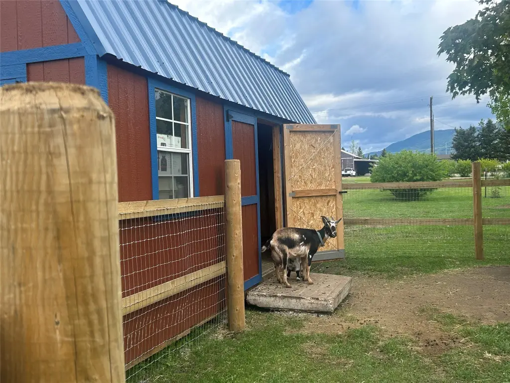 Picture 25