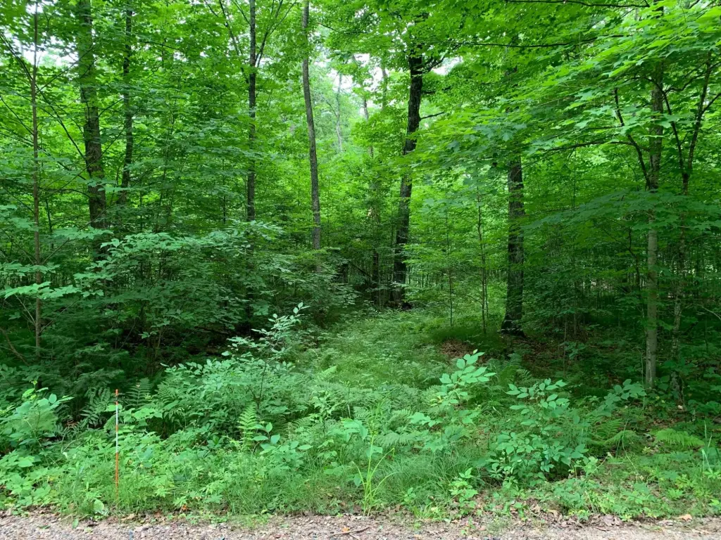 Picture 15
