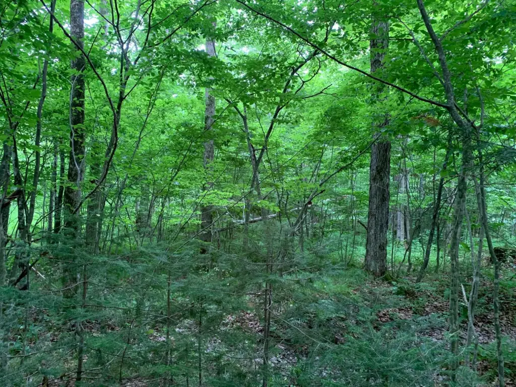 Picture 10