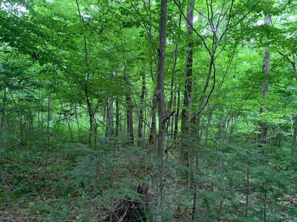 Picture 9