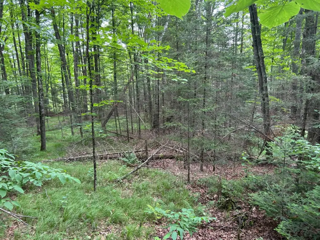Picture 10