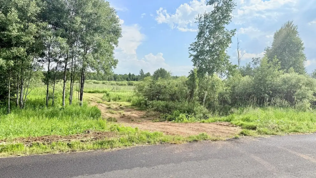 Picture 23
