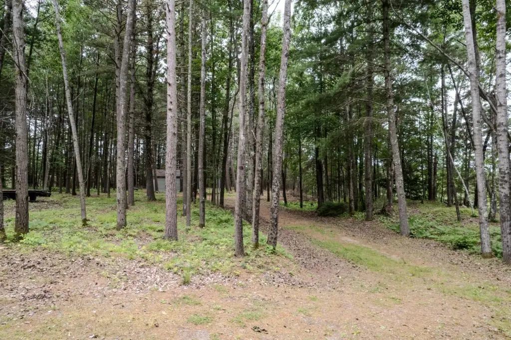 Picture 28