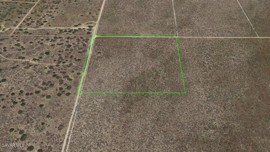 Picture 6