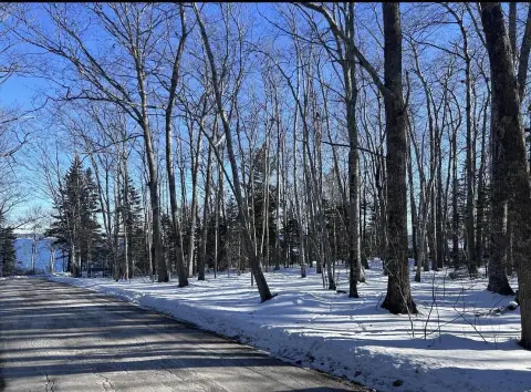 Bar Harbor Land Opportunity