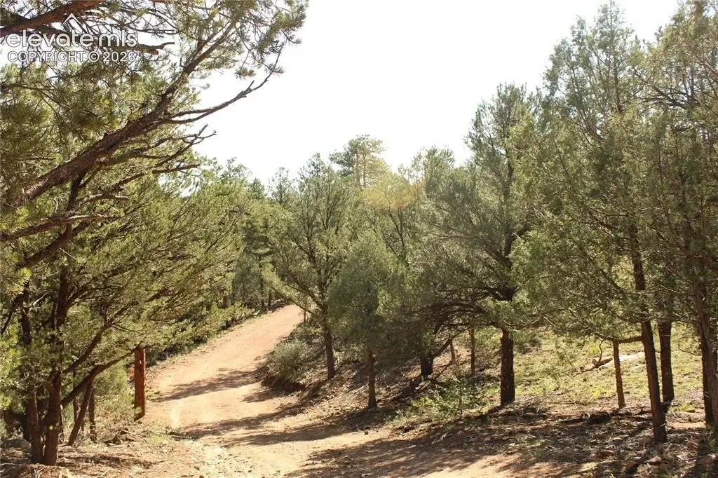 Picture 10