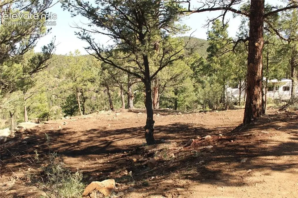 Picture 8
