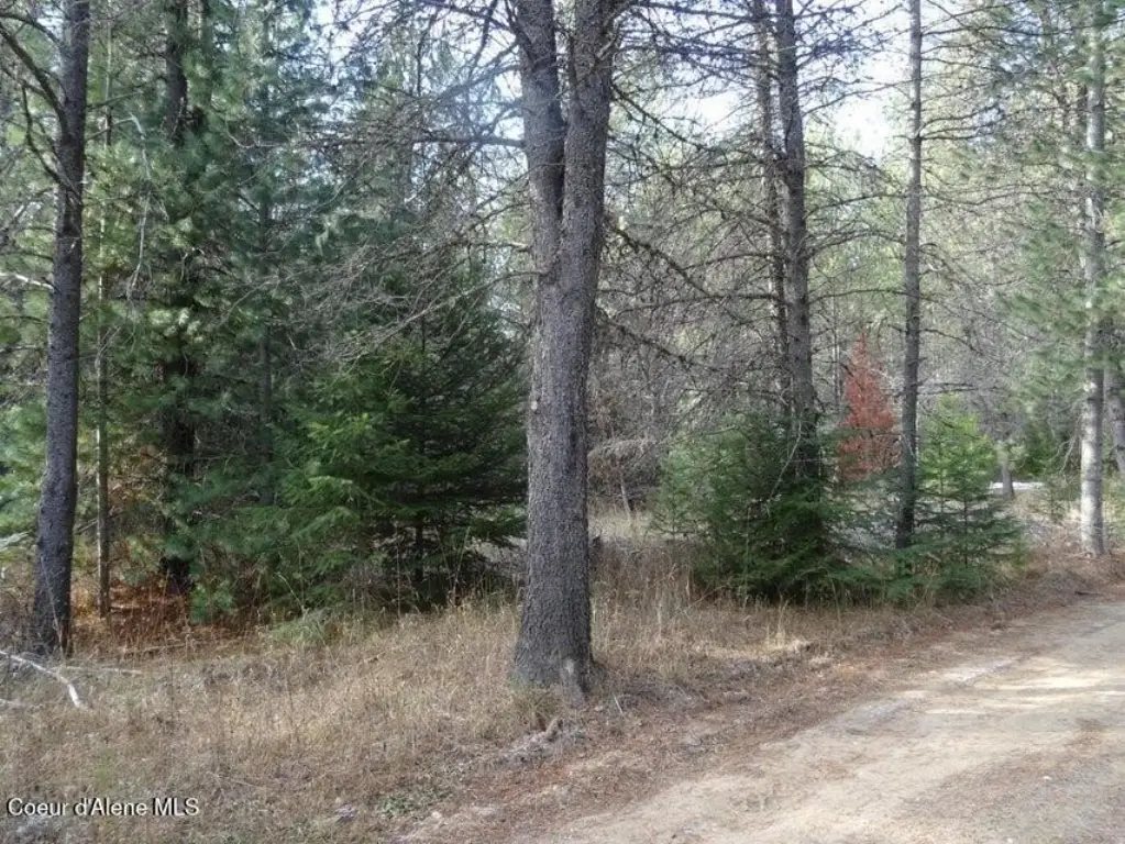 Picture 4