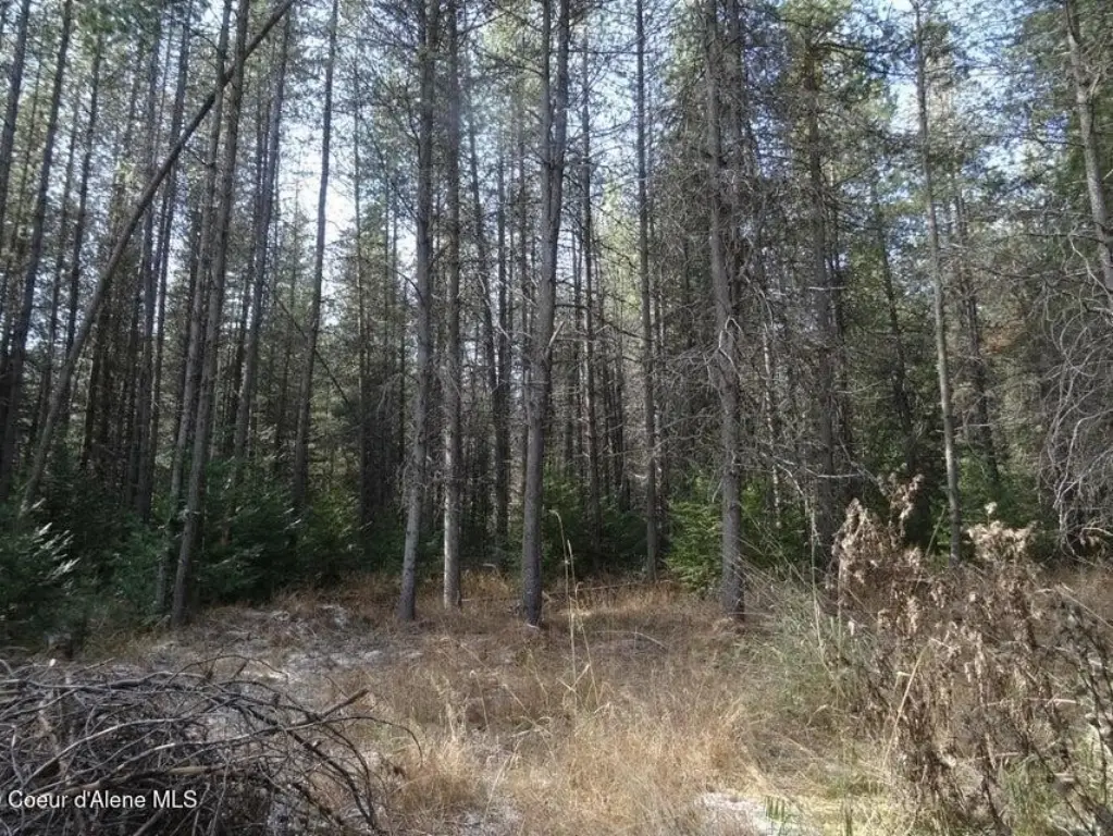 Picture 7