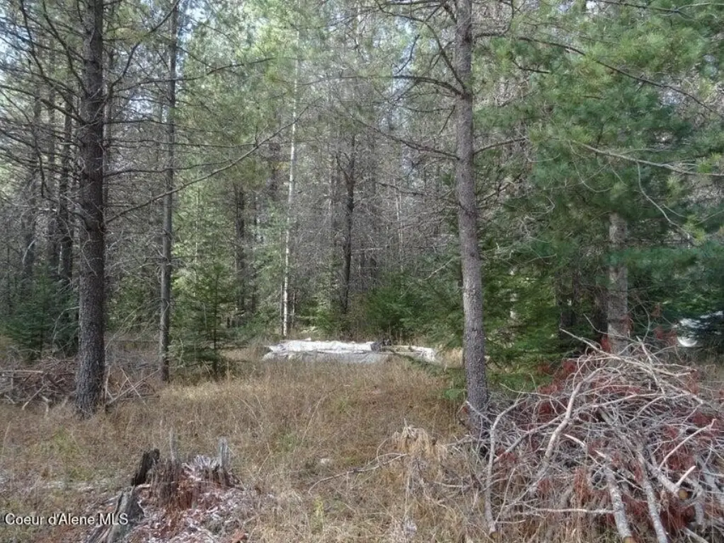 Picture 3