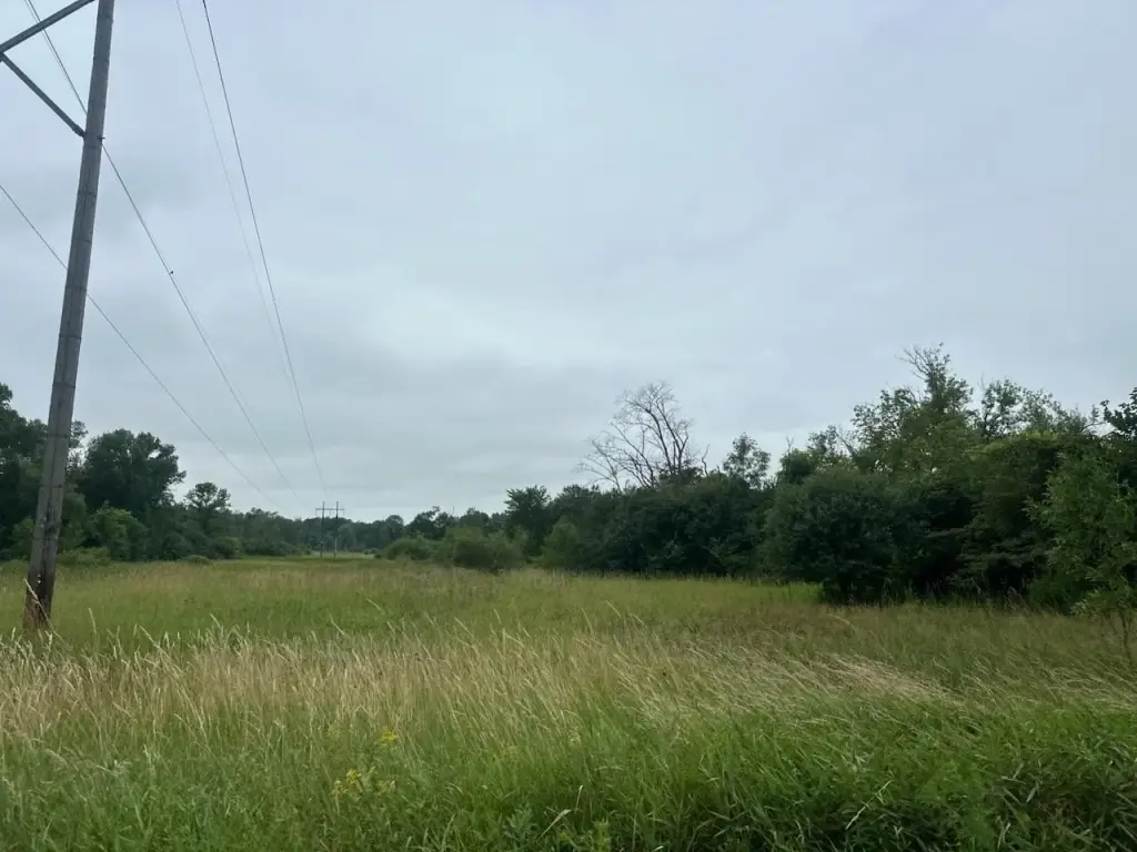 Picture 19