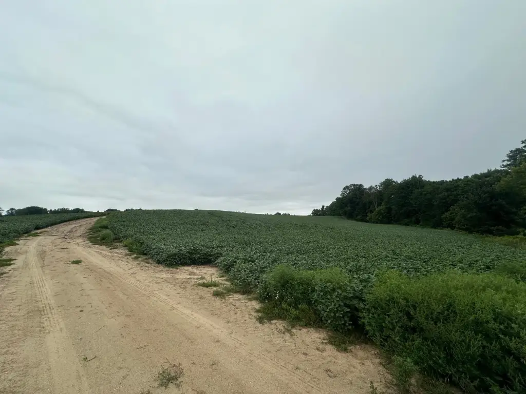 Picture 14